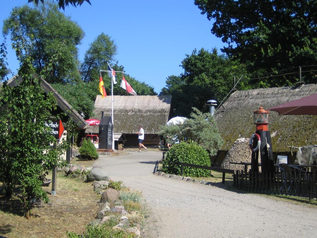Am Kuestenwald Koserow ภายนอก รูปภาพ